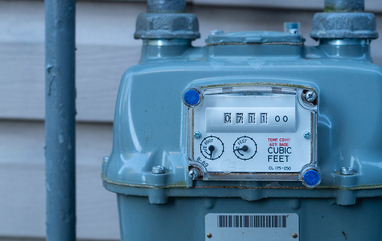 Utilities & Local Distribution Companies (LDCs)